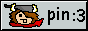 pin's website!